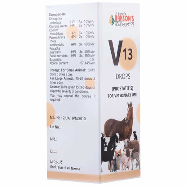 Dr Bakshi's Bakson Homoeopathy B16 Vertigo Drops 30 Ml
