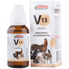 Dr Bakshi'S Bakson Homoeopathy B16 Vertigo Drops 30 Ml
