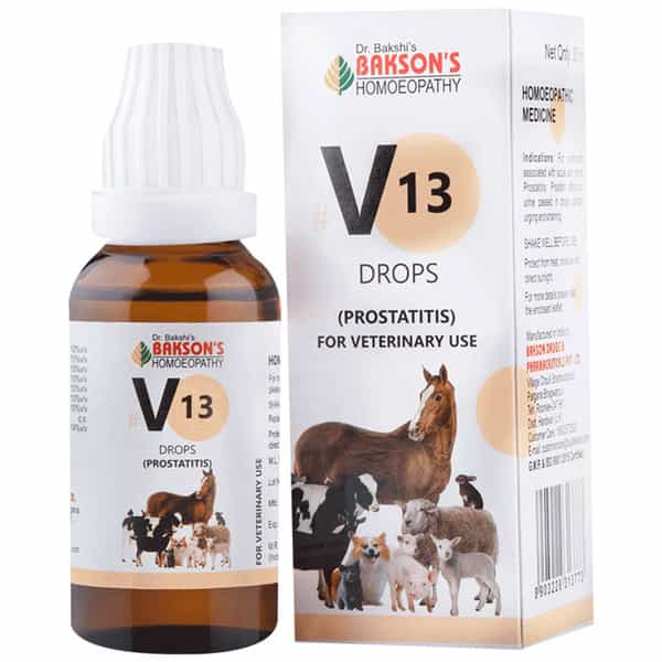 Dr Bakshi's Bakson Homoeopathy B16 Vertigo Drops 30 Ml