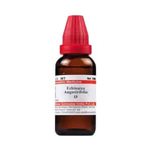 Dr. Willmar Schwabe India Echinacea Angustifolia Mt 30ml