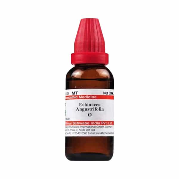Dr. Willmar Schwabe India Echinacea Angustifolia Mt 30Ml