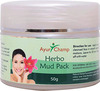 Ayur Champ Herbo Mud Pack - 50G