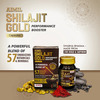 Aimil Shilajit Gold Performance Booster Bottle Of 20 Capsules