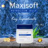 Maxisoft Winter Care Kit (Face Wash 100Ml + Aloe Vera & Cucumber Gel 120Gm + Petroleum Jelly 50Gm)