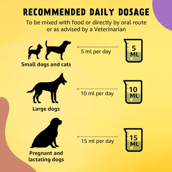 Fidobuddy Dog Hairfall Control Salmon Oil Supplement 200 Ml