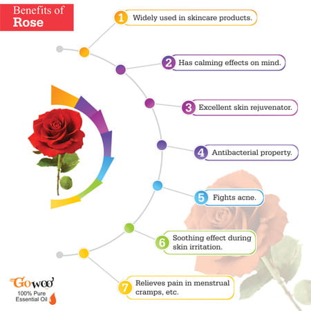 Pack Of 2 Rose Essential Oil & Neem Carrier Oil - 100% Natural & Therapeutic Grade Oil