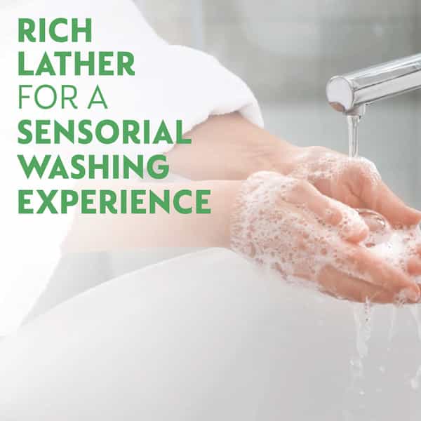 Dettol No Touch Aloe Vera Handwash Refill 250Ml