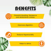 Mbdhwellness Gastricell-Ayurvedic Capsule For Gas Acidity Dyspesia-Jira Ajwain (Pack Of 2)