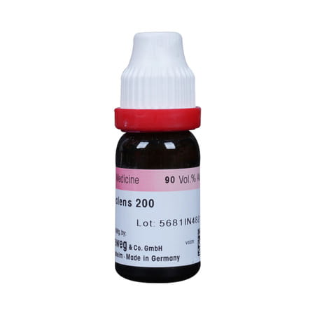 Dr. Reckeweg Ruta Graveolens 200 Ch (11ml)