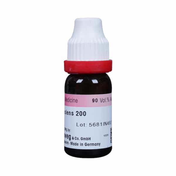 Dr. Reckeweg Ruta Graveolens 200 Ch (11Ml)