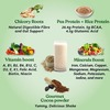 Kapiva Vegan Protein - Cookies And Cream | Post-Workout Recovery | 100% Plant Based Protein | 1 Kg
