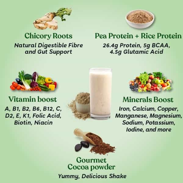 Kapiva Vegan Protein - Cookies And Cream | Post-Workout Recovery | 100% Plant Based Protein | 1 Kg