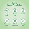 Kapiva Vegan Protein - Cookies And Cream | Post-Workout Recovery | 100% Plant Based Protein | 1 Kg