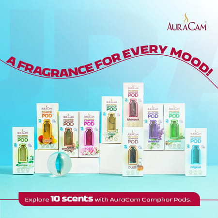 Auracam Gold Standard Camphor Pod Cone Original- Set Of 6