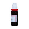 Dr. Reckeweg Ginseng Mother Tincture Q 20 Ml