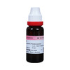 Dr. Reckeweg Ginseng Mother Tincture Q 20 Ml