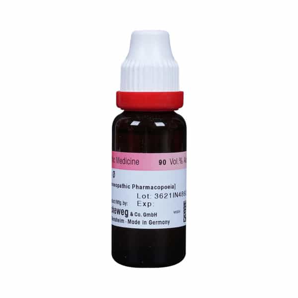 Dr. Reckeweg Ginseng Mother Tincture Q 20 Ml