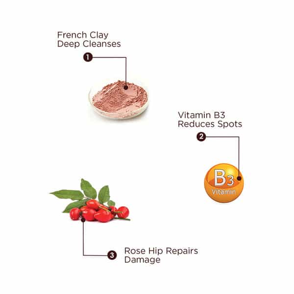 The Skin Story Pollution Shield Oil Control Face Wash Moisturizing French Red Clay Rose Hip Oil 100G