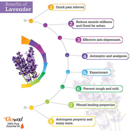 Pack Of 3 Essential Oil (Lavender Oil | Tea Tree Oil And Lemongrass Oil)