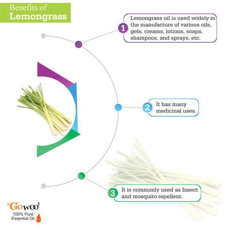 Pack Of 3 Essential Oil (Lavender Oil | Tea Tree Oil And Lemongrass Oil)