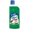 Lizol Jasmine Disinfectant Floor Cleanerliquid Bottle Of 500 Ml