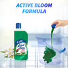 Lizol Jasmine Disinfectant Floor Cleanerliquid Bottle Of 500 Ml