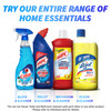 Lizol Jasmine Disinfectant Floor Cleanerliquid Bottle Of 500 Ml