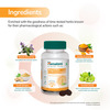 Himalaya Septilin | Natural Tamarind Flavour (Amla & Rosemary) | Gummies | 30 No's