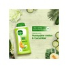Dettol Body Wash And Shower Gel Revitalize - 250Ml