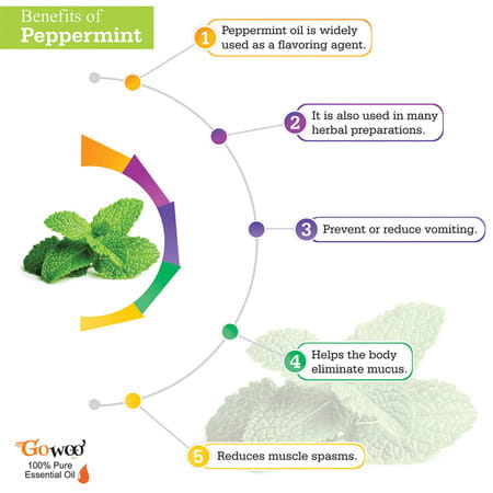 Pack Of 2 Peppermint Essential Oil & Cucumber Seed Carrier Oil - 100% Pure Natural & Undiluted