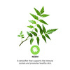 Pravek Neem 60 Capsules