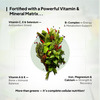 Miduty 100% Organic Alkalizing Supergreens - Detox - Immunity - Wheatgrass - Spirulina - 250G