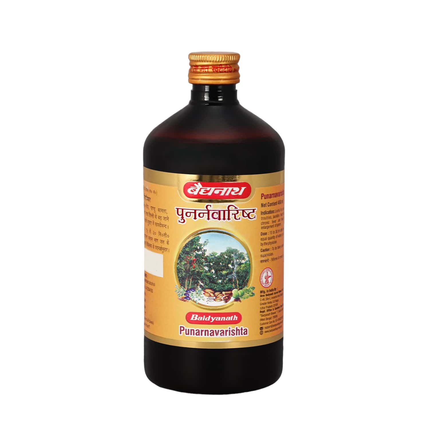Baidyanath Punarnavarishta - Useful In Anemia | Inflamation & Liver Disorder) Bottle Of 450ml
