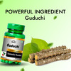 Cipzer Guduchi Capsule|Enhances Digestive System|Supports The Liver And The Kidney -60 Capsules