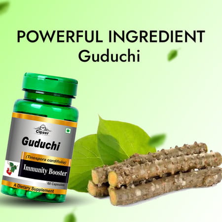 Cipzer Guduchi Capsule|Enhances Digestive System|Supports The Liver And The Kidney -60 Capsules