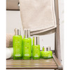 Orjena Tea Tree Cica Serum - Achieve Balanced - Enriched With Tea Tree - 45Ml