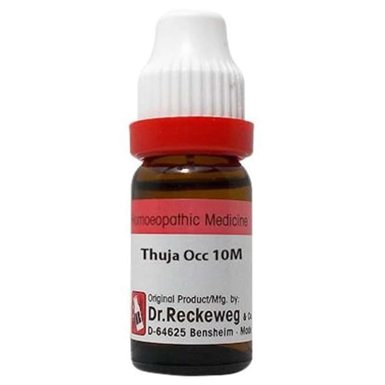 Dr. Reckeweg Thuja Occ Dilution 10m Ch 11 Ml