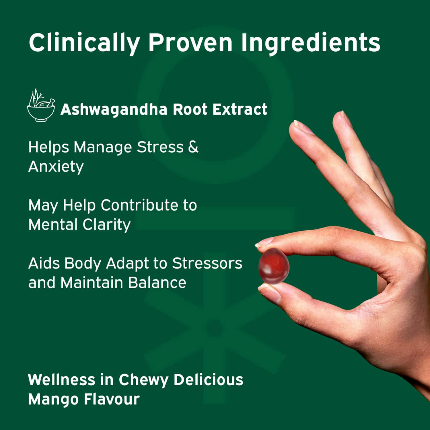 Golden Fountain Farms CBD Gummies can be bought online here: