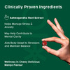 Nutriburst Ashwagandha Max Gummies For Managing Stress And Anxiety (120 Gummy)