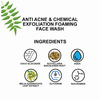 Anti Acne & Chemical Exfoliation Foaming Face Wash