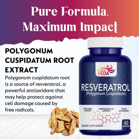 Fitness Veda 99.9% Pure Trans Resveratrol 500mg Supplement Slow Down Aging (60 Veg Capsules)
