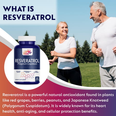Fitness Veda 99.9% Pure Trans Resveratrol 500mg Supplement Slow Down Aging (60 Veg Capsules)
