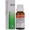 Dr. Reckeweg R13 Hemorrhoidal Drop (Pack Of 2)