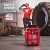 Bsn Syntha 6 Protein Powder - 5 Lbs+10% Extra | 2.5 Kg (Chocolate Milkshake)