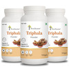 Four Seasons Ayurvedic Triphala Churna 100G | Acidity & Gas Relief |Relieve Constipation (Pack Of 3)