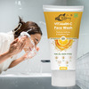 Vitamin C Foaming Face Wash | Fades Dark Spots & Pigmentation For Women & Men 100% Ayurvedic (200Ml)
