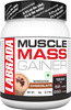 Labrada Muscle Mass Gainer - 2.2lbs (1kg) Chocolate