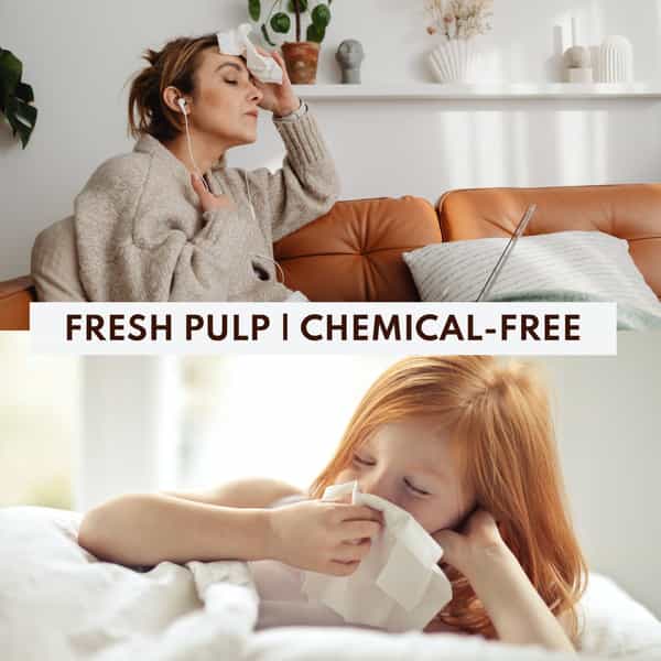 Imvelo 2 Ply Facial Tissues Box | Bag Pack - Pack Of 6 Each Pack 50 Pulls 100 Sheets | Ultra Soft