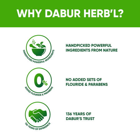 Dabur Herb'L Paste - Tulsi (200g)- Pack Of 3