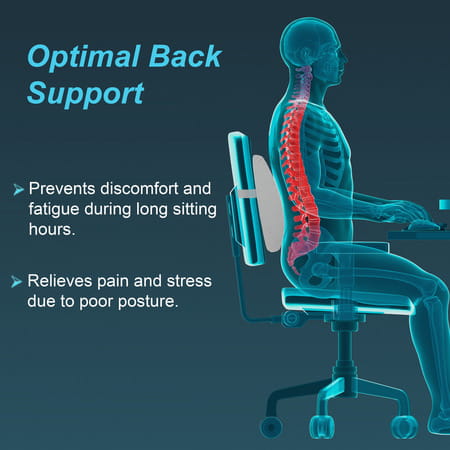 Tynor Elite Lumbo Back Rest | Grey | Universal Size | 1 Unit